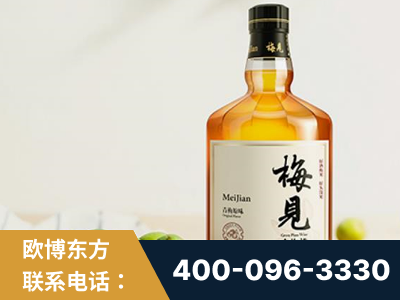 安庆-梅见青梅酒